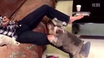 国产嘿咻,探索中国电影中的激情与禁忌